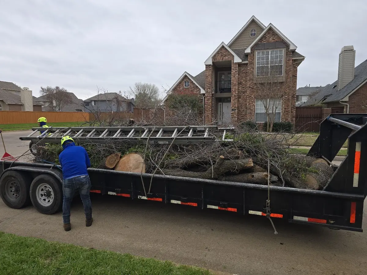 Expert Tree Fertilization with proper safety equipment in Burlington